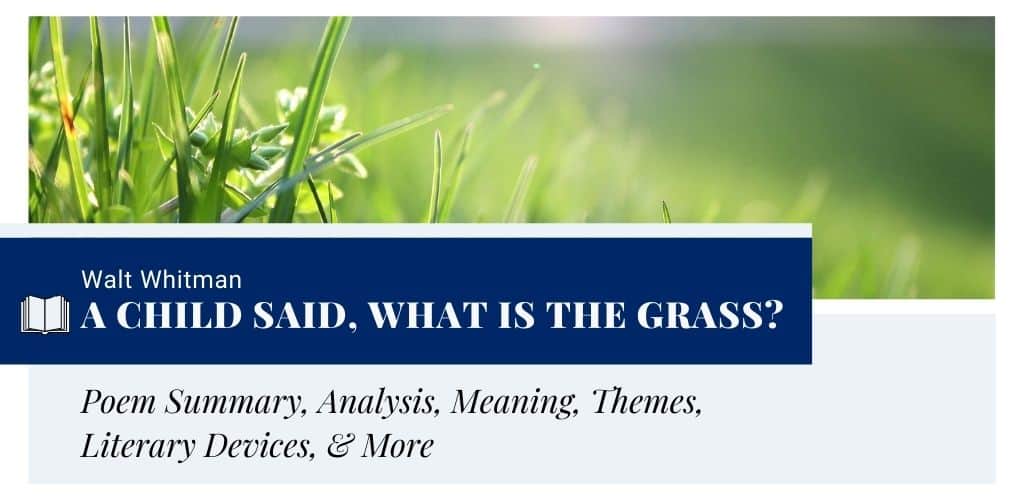 A child said, What is the grass? by Walt Whitman