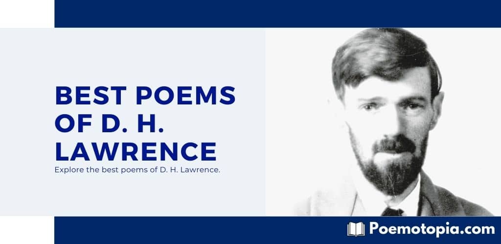 Best Poems of D. H. Lawrence