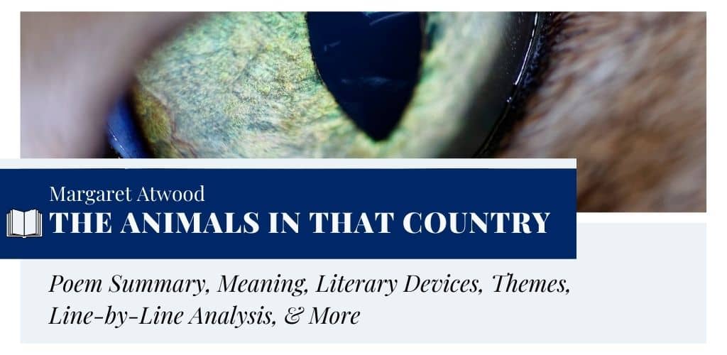 Analysis of The animals in that country by Margaret Atwood