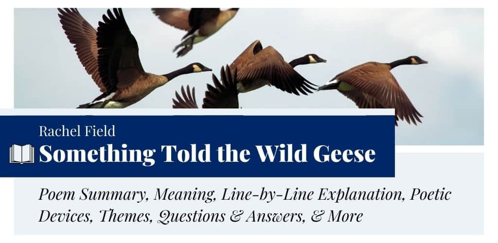 Analysis of Something Told the Wild Geese by Rachel Field
