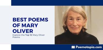 the journey mary oliver theme