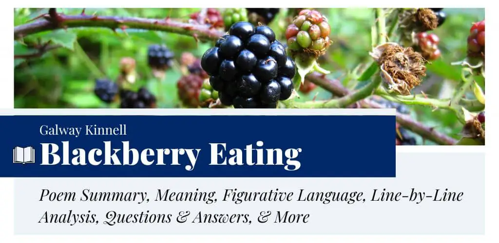 Analysis of Blackberry Eating by Galway Kinnell