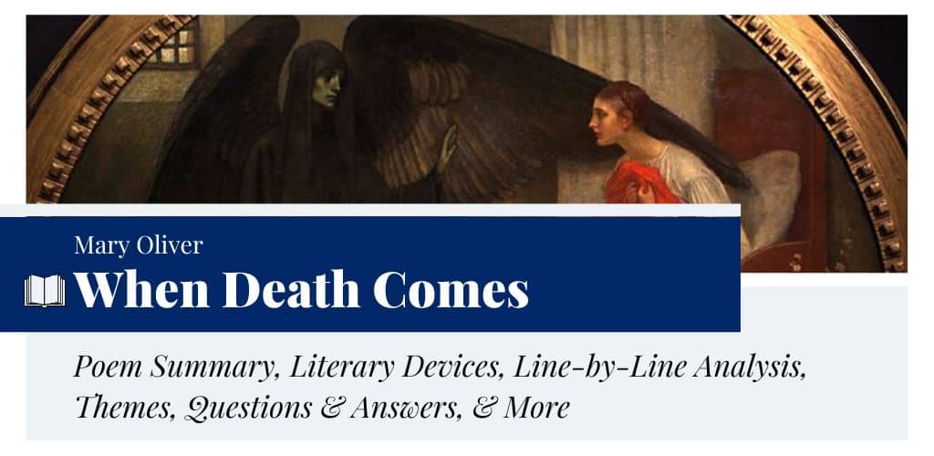 Analysis of When Death Comes by Mary Oliver